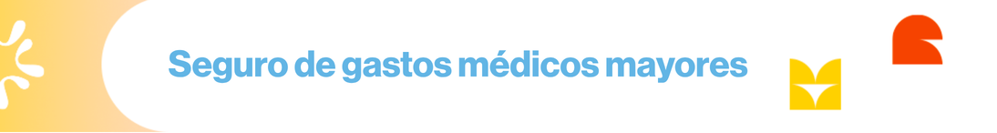Seguro de Gastos Medicos
