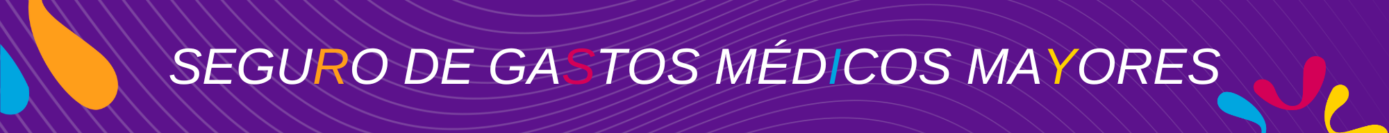 Seguro de Gastos Medicos