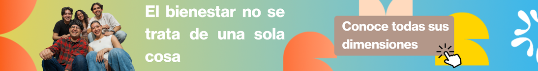 Banner dimensiones